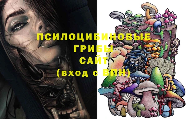 трава Беломорск