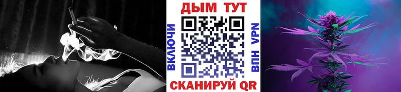 Купить  Южа  Конопля MAZAR 